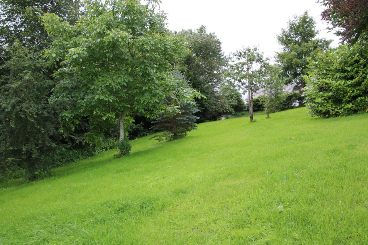 Ferienhaus Eifelnest Scheid  外观 照片